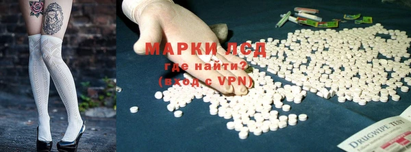 ПСИЛОЦИБИНОВЫЕ ГРИБЫ Инта