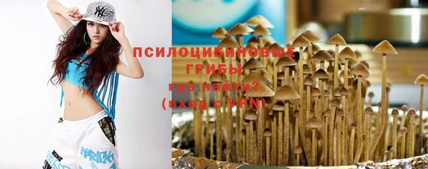 ПСИЛОЦИБИНОВЫЕ ГРИБЫ Инта