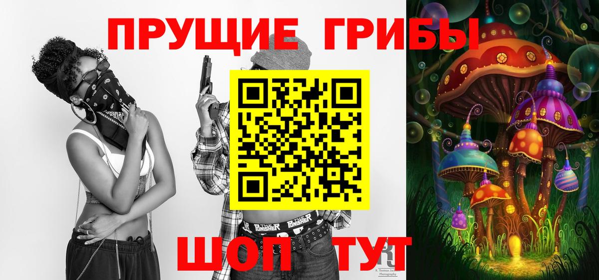 Псилоцибиновые грибы Psilocybe Холмск