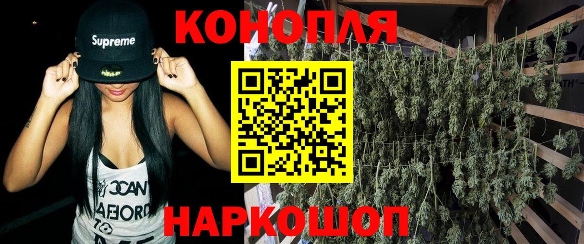 МАРИХУАНА план Холмск